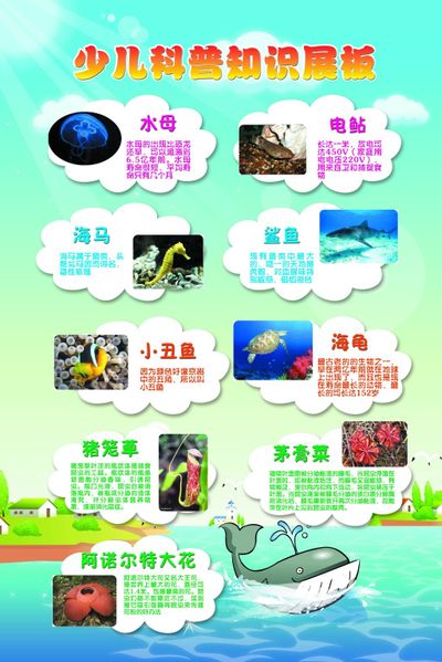 别让作文卡在素材雷同上！知识就是力量×中考作文素材阅读积累养成