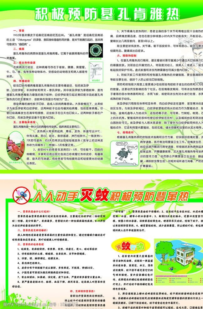 如何预防基孔肯雅热？